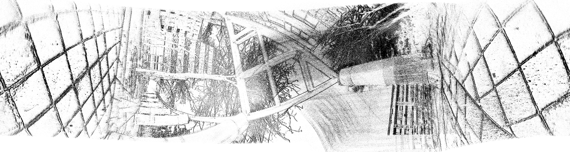 CEAR Panoramic Result